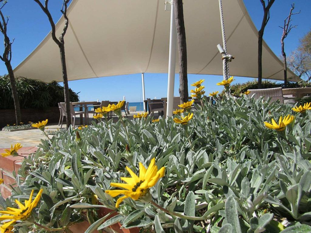 Schuhmann Hotel Paestum